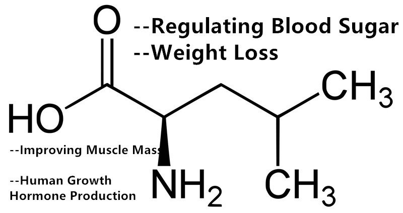 L-leucine Powder.png